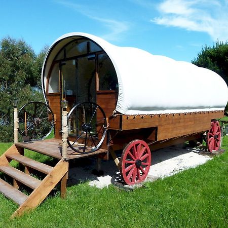 Wacky Stays - Unique Farm-Stay Glamping Rentals, Free Animal Feeding Tours Kaikoura Exterior foto