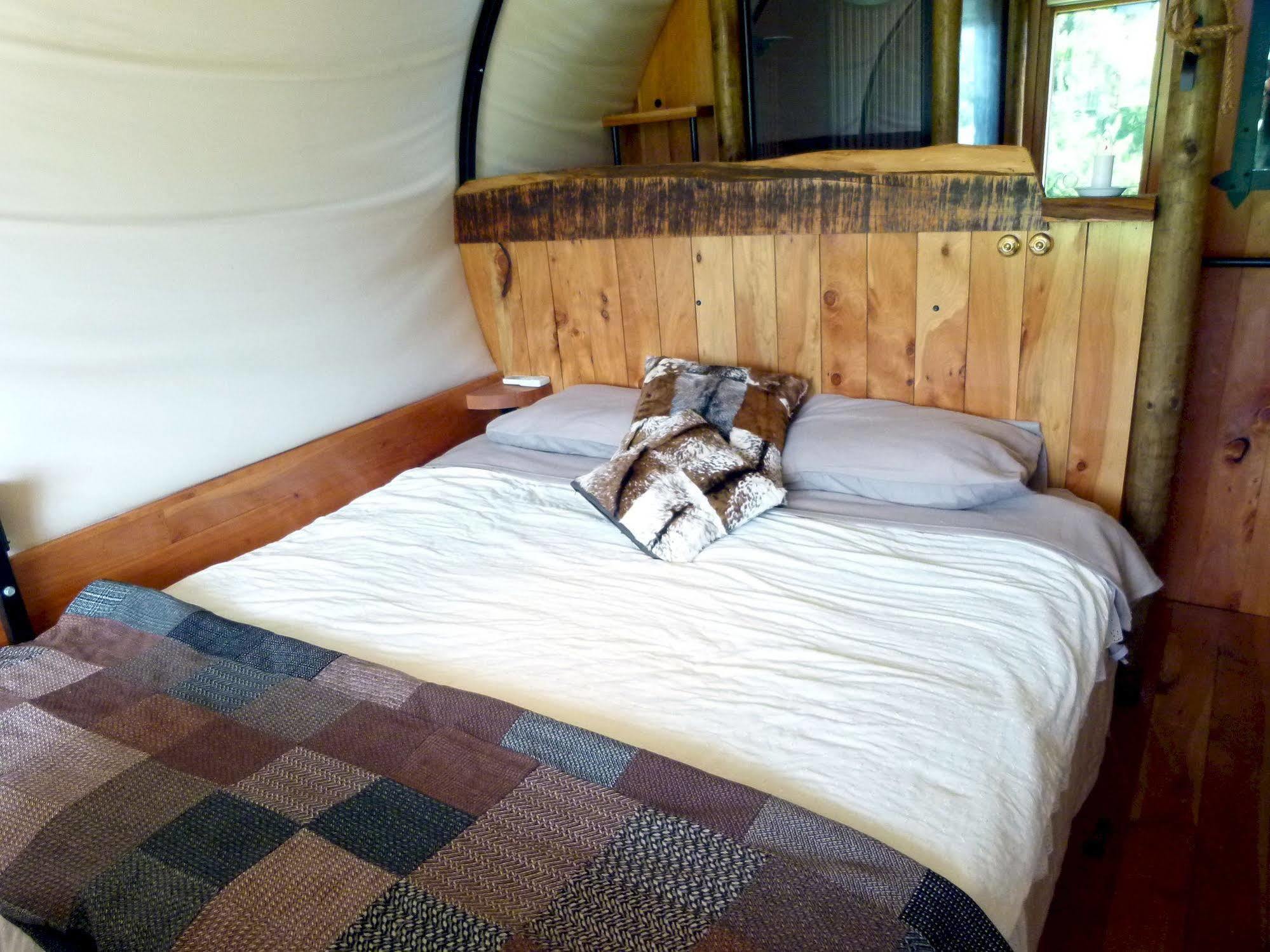 Wacky Stays - Unique Farm-Stay Glamping Rentals, Free Animal Feeding Tours Kaikoura Exterior foto